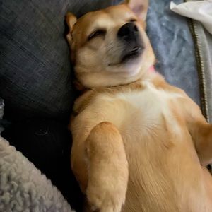 Meet your Posher, Nancy